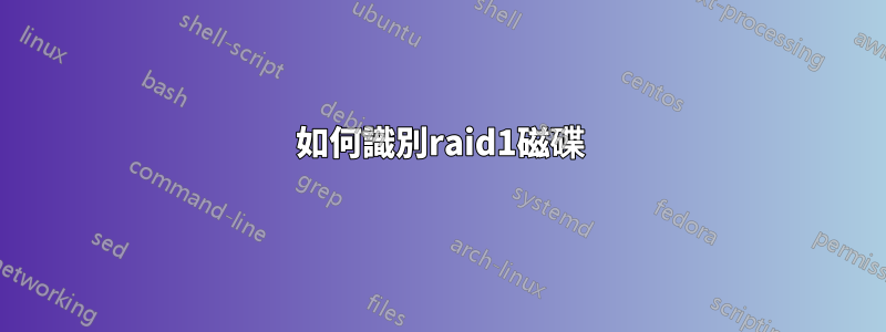 如何識別raid1磁碟