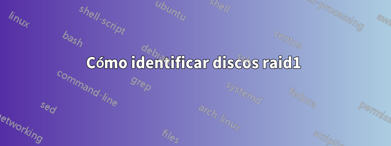 Cómo identificar discos raid1