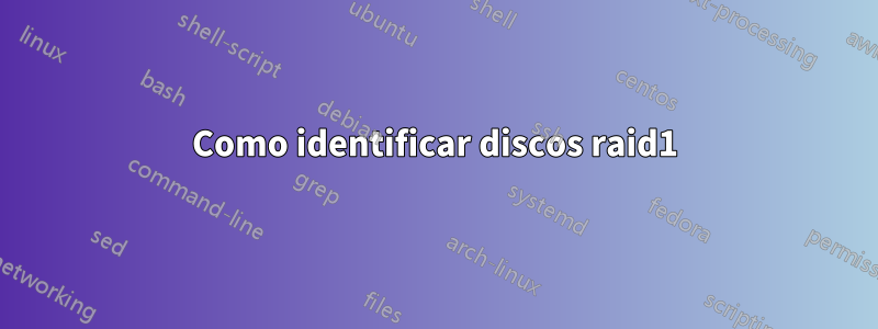 Como identificar discos raid1