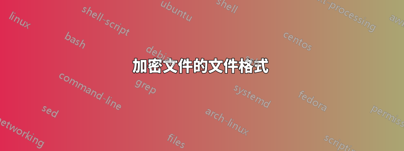 加密文件的文件格式
