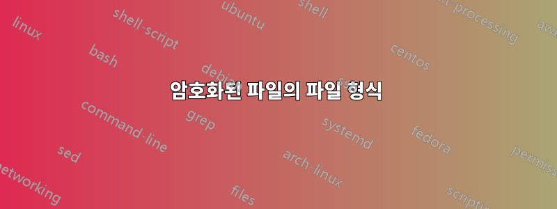 암호화된 파일의 파일 형식