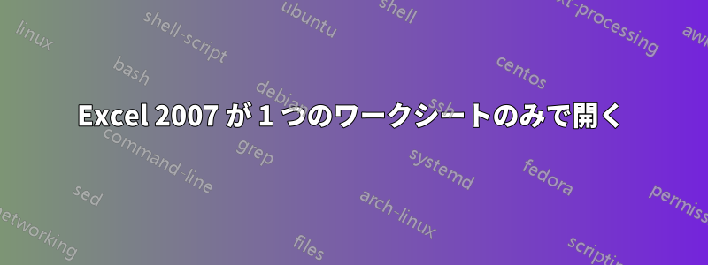 Excel 2007 が 1 つのワークシートのみで開く