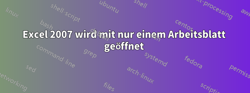 Excel 2007 wird mit nur einem Arbeitsblatt geöffnet