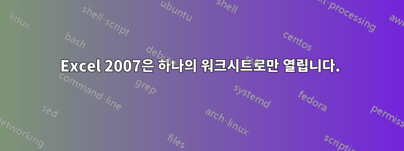Excel 2007은 하나의 워크시트로만 열립니다.