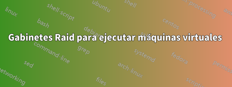 Gabinetes Raid para ejecutar máquinas virtuales