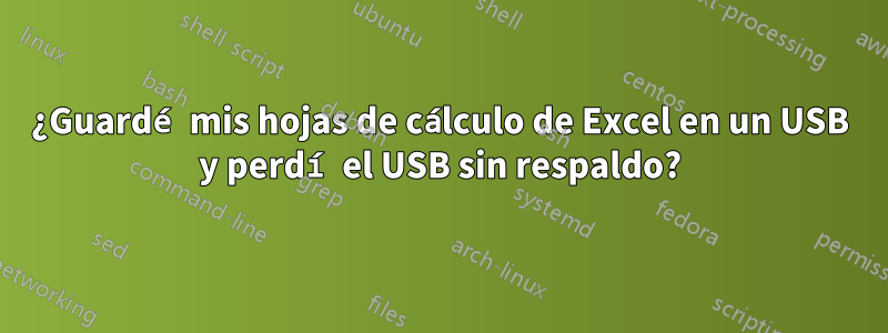 ¿Guardé mis hojas de cálculo de Excel en un USB y perdí el USB sin respaldo?