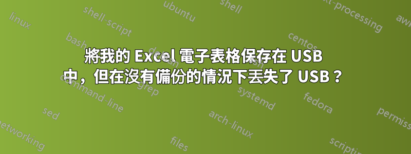將我的 Excel 電子表格保存在 USB 中，但在沒有備份的情況下丟失了 USB？