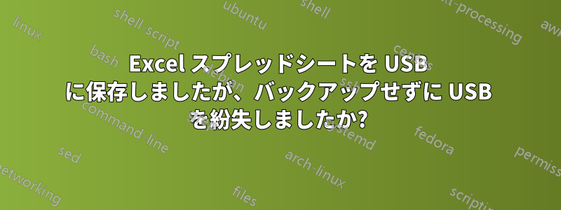 Excel スプレッドシートを USB に保存しましたが、バックアップせずに USB を紛失しましたか?