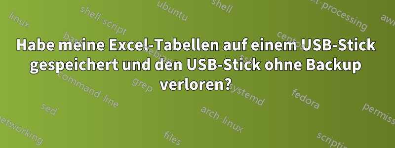 Habe meine Excel-Tabellen auf einem USB-Stick gespeichert und den USB-Stick ohne Backup verloren?
