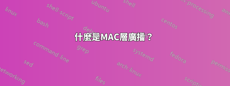 什麼是MAC層廣播？