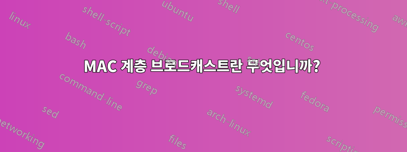 MAC 계층 브로드캐스트란 무엇입니까?