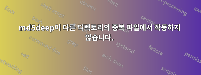 md5deep이 다른 디렉토리의 중복 파일에서 작동하지 않습니다.