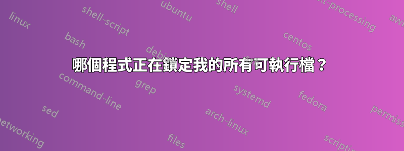 哪個程式正在鎖定我的所有可執行檔？