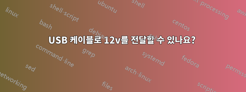 USB 케이블로 12v를 전달할 수 있나요?