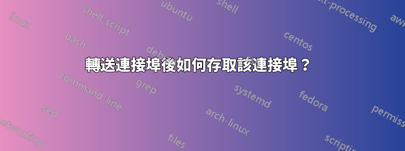 轉送連接埠後如何存取該連接埠？ 