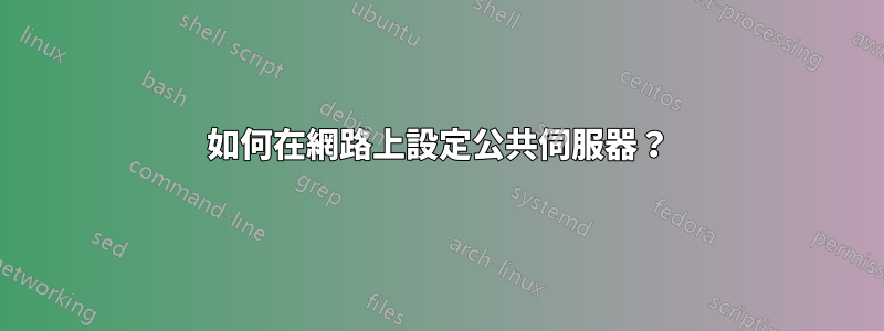 如何在網路上設定公共伺服器？