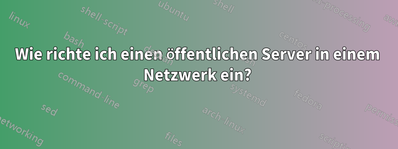 Wie richte ich einen öffentlichen Server in einem Netzwerk ein?