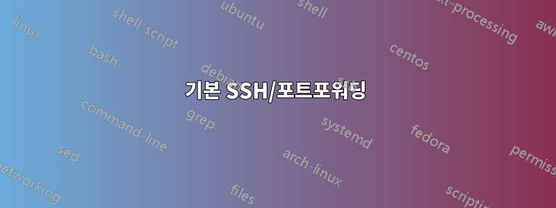 기본 SSH/포트포워딩