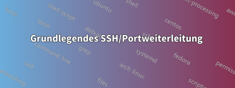 Grundlegendes SSH/Portweiterleitung