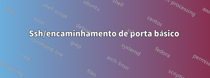 Ssh/encaminhamento de porta básico