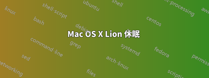 Mac OS X Lion 休眠