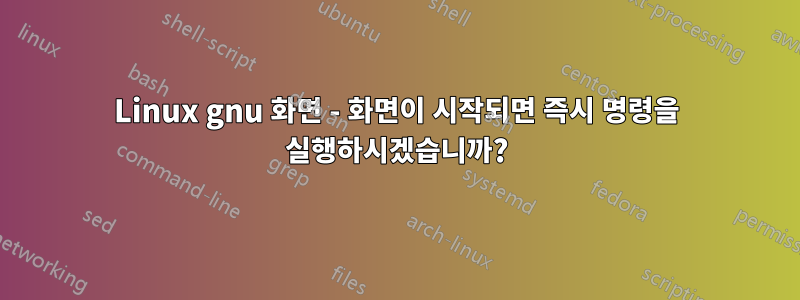 Linux gnu 화면 - 화면이 시작되면 즉시 명령을 실행하시겠습니까?