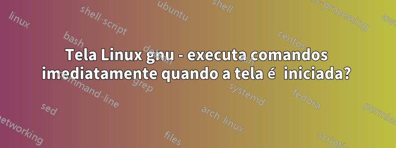 Tela Linux gnu - executa comandos imediatamente quando a tela é iniciada?
