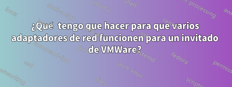 ¿Qué tengo que hacer para que varios adaptadores de red funcionen para un invitado de VMWare?
