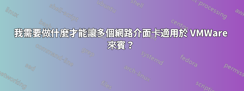 我需要做什麼才能讓多個網路介面卡適用於 VMWare 來賓？