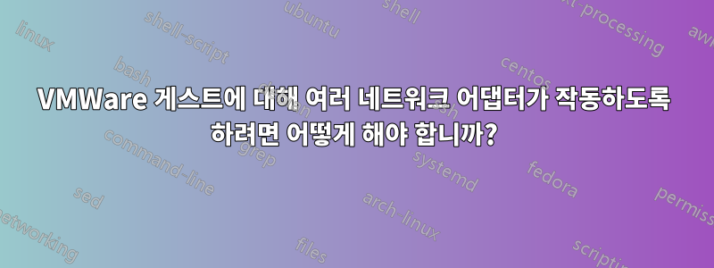 VMWare 게스트에 대해 여러 네트워크 어댑터가 작동하도록 하려면 어떻게 해야 합니까?