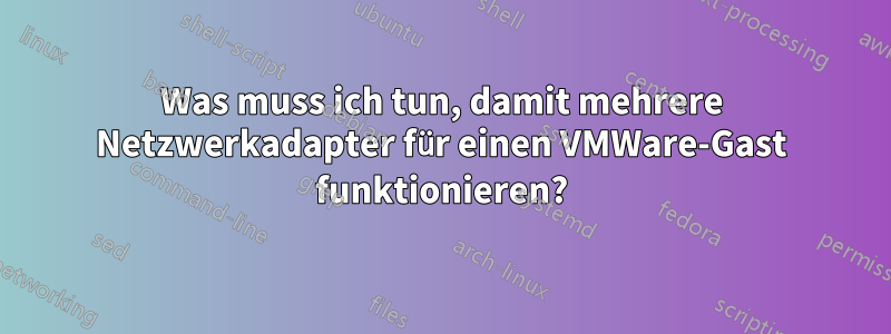 Was muss ich tun, damit mehrere Netzwerkadapter für einen VMWare-Gast funktionieren?