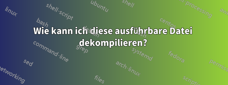 Wie kann ich diese ausführbare Datei dekompilieren?