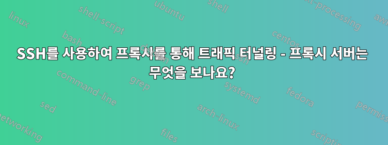 SSH를 사용하여 프록시를 통해 트래픽 터널링 - 프록시 서버는 무엇을 보나요?