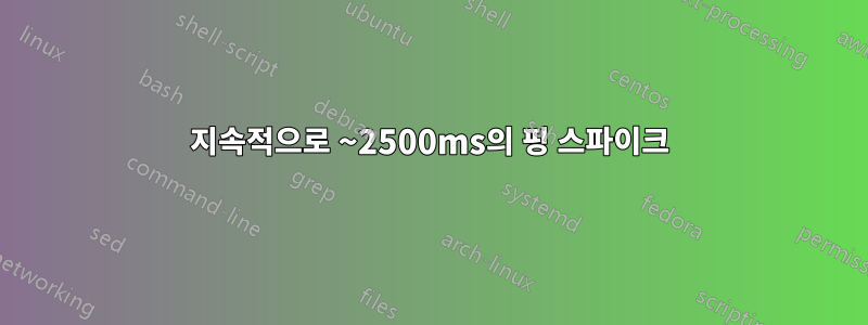 지속적으로 ~2500ms의 핑 스파이크
