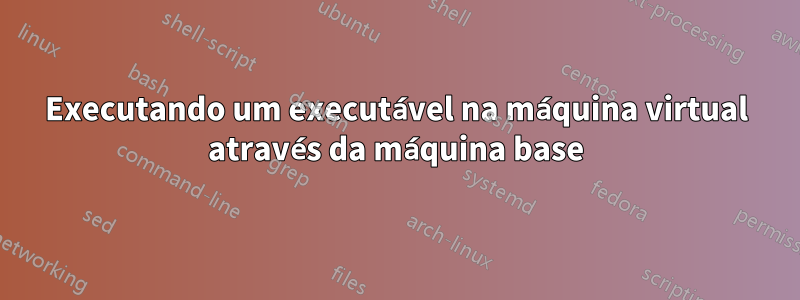 Executando um executável na máquina virtual através da máquina base