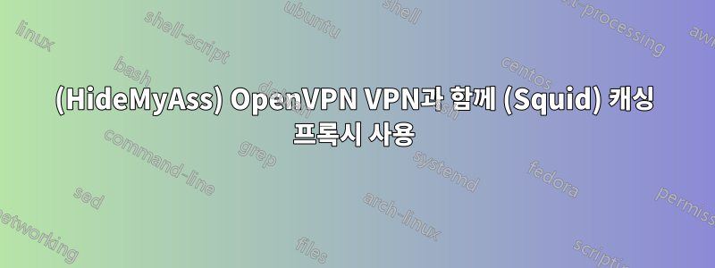 (HideMyAss) OpenVPN VPN과 함께 (Squid) 캐싱 프록시 사용