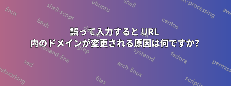 誤って入力すると URL 内のドメインが変更される原因は何ですか?