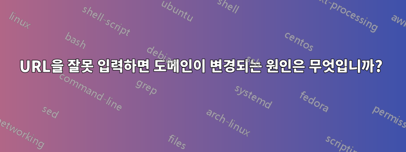 URL을 잘못 입력하면 도메인이 변경되는 원인은 무엇입니까?