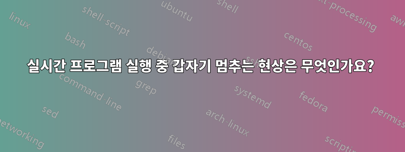 실시간 프로그램 실행 중 갑자기 멈추는 현상은 무엇인가요?