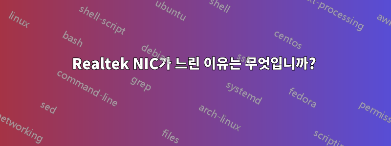 Realtek NIC가 느린 이유는 무엇입니까?