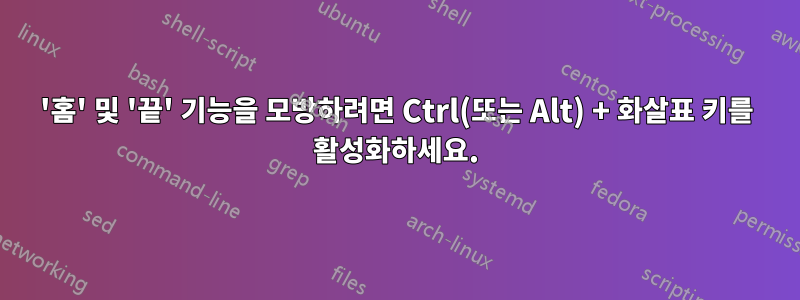 '홈' 및 '끝' 기능을 모방하려면 Ctrl(또는 Alt) + 화살표 키를 활성화하세요.