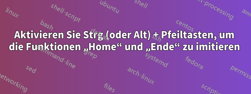 Aktivieren Sie Strg (oder Alt) + Pfeiltasten, um die Funktionen „Home“ und „Ende“ zu imitieren