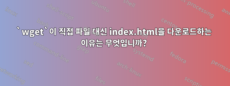 `wget`이 직접 파일 대신 index.html을 다운로드하는 이유는 무엇입니까?