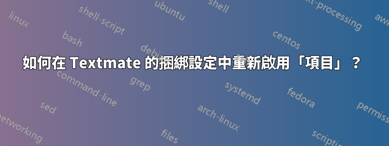 如何在 Textmate 的捆綁設定中重新啟用「項目」？