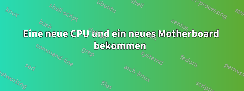 Eine neue CPU und ein neues Motherboard bekommen 