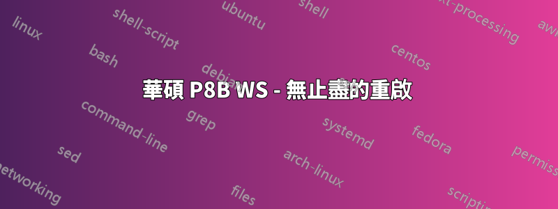 華碩 P8B WS - 無止盡的重啟