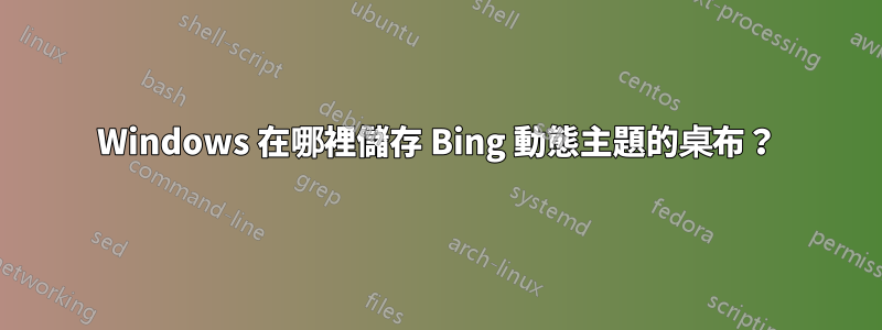 Windows 在哪裡儲存 Bing 動態主題的桌布？