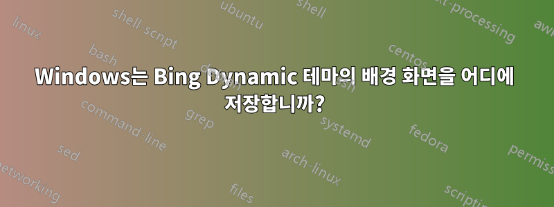 Windows는 Bing Dynamic 테마의 배경 화면을 어디에 저장합니까?