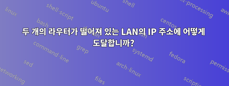 두 개의 라우터가 떨어져 있는 LAN의 IP 주소에 어떻게 도달합니까?