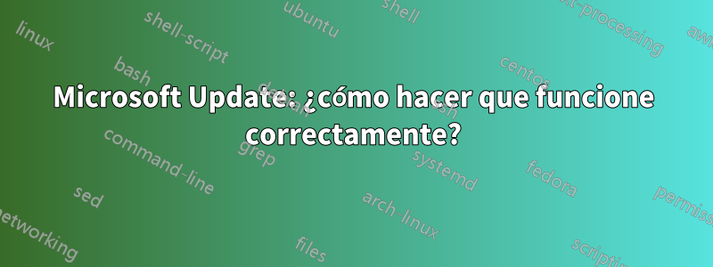 Microsoft Update: ¿cómo hacer que funcione correctamente?